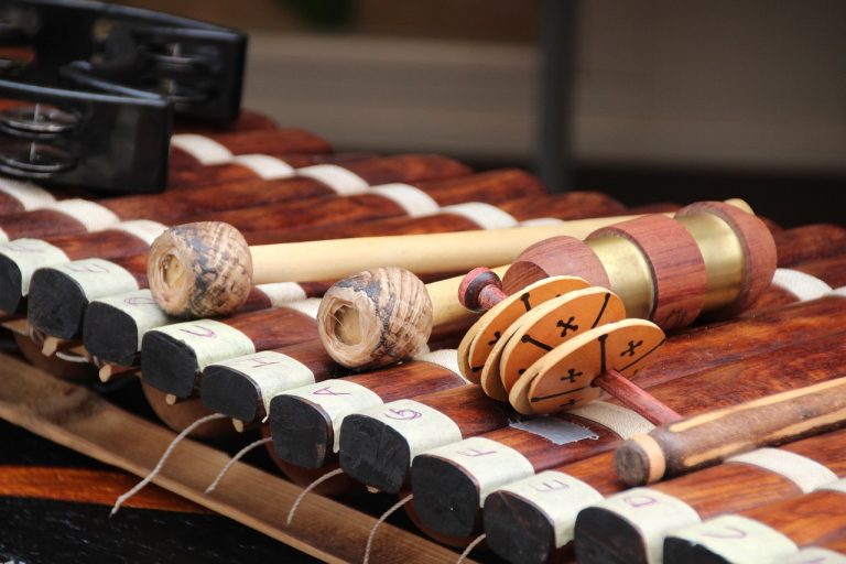 xylophone, concert, percussion, batterie, instrument en bois, instrument, rythme, maillets, xylophone, xylophone, xylophone, xylophone, xylophone, percussion, percussion, percussion