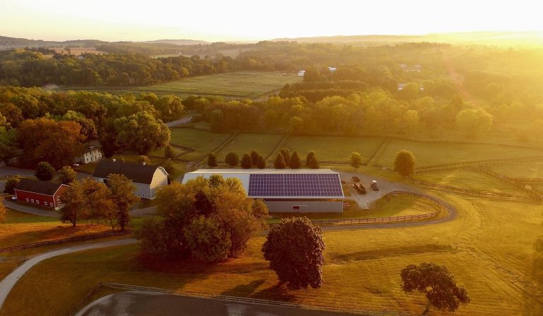 la ferme solaire, solaire, énergie, photovoltaïque, paysage, vert, sur le terrain, alternative, environnement, ensoleillé, puissance, renouvelable, brillant, agricole, écologie, brun de l'énergie, brun alimentation, photovoltaïque, photovoltaïque, photovoltaïque, photovoltaïque, photovoltaïque
