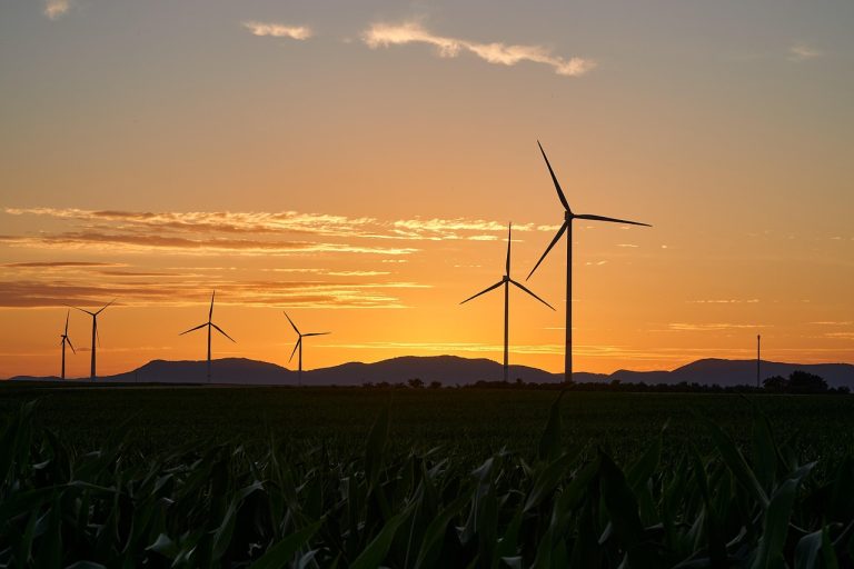 moulinets, énergie, électricité, renouvelable, nature, l'énergie éolienne, le coucher du soleil, parc éolien, crépuscule, des arbres, paysage