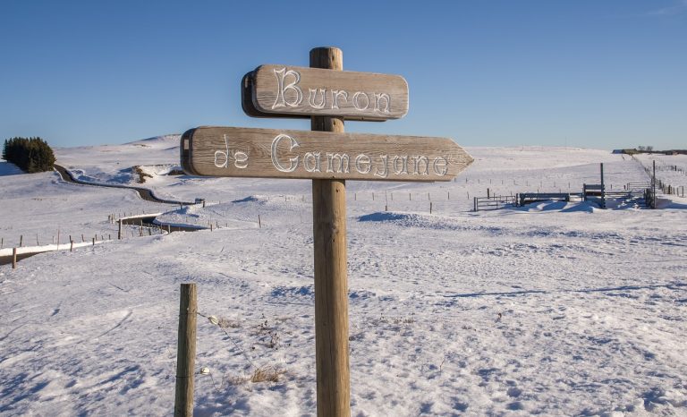 aubrac, enneigé, panneau, pancarte, neige, nature, clôtures