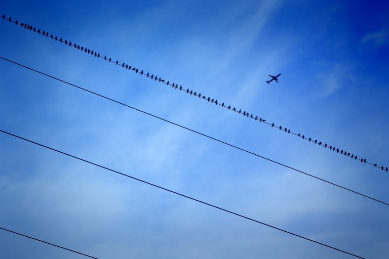 paradis, haute, câble, performances, électricité, bleu, avion, nature, des oiseaux, la technologie, haute tension, bloc d'alimentation, tension, énergie, électrique, ligne électrique