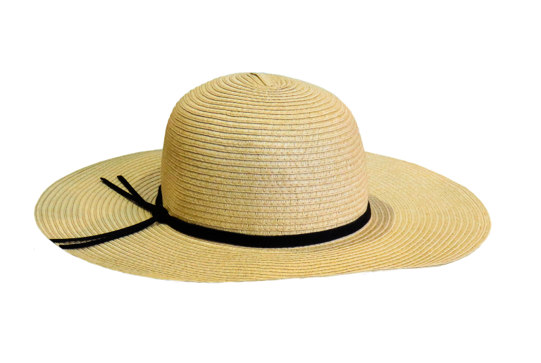 casquette, protection solaire, l'été, nature, coneflower, chapeau de paille, couvre-chef, isolé