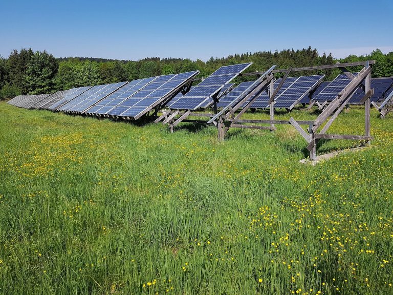 champ solaire, prairie, énergie, électricité, énergie solaire, cellules solaires, solaire, système solaire, la production d'énergie, photovoltaïque, renouvelable, transition énergétique, la nature, forêt, champ solaire, photovoltaïque, photovoltaïque, photovoltaïque, photovoltaïque, photovoltaïque, transition énergétique