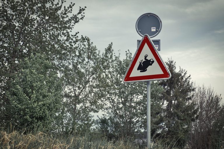 la grenouille, attention, signer, personnage, panneaux de signalisation, panneau d'avertissement