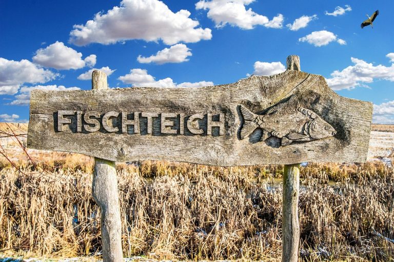 panneau en bois, paradis, des nuages, roseau, hiver, nature, pieu, schrift