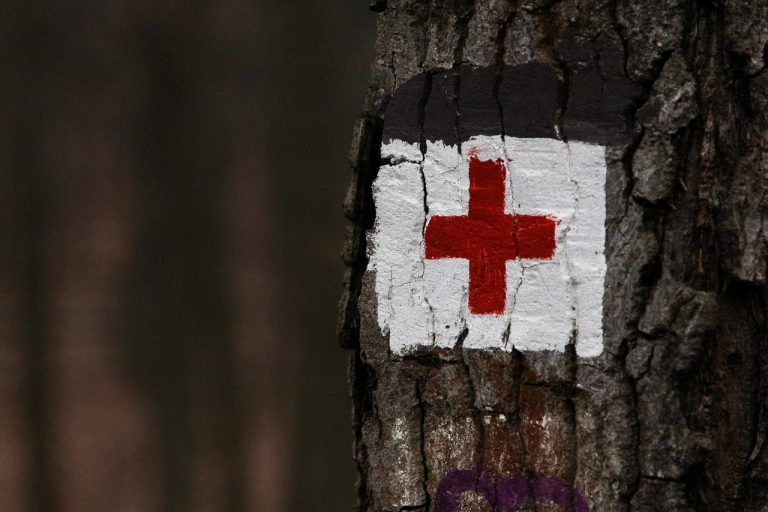 arbre, signer, voyage, panneau de randonnée, randonnée, nature, rouge