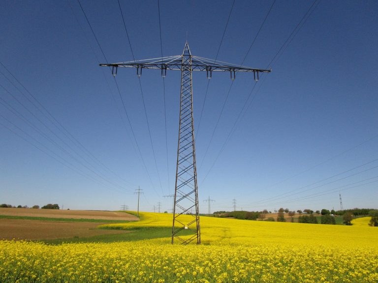 colza, électricité, poteau électrique, ligne électrique, pylônes électriques, agriculture, nature, plante, jaune, prairie, paradis, le printemps, domaine, paysage, énergie, rural, grandes cultures, la ligne aérienne, cultivation, lignes aériennes, recadrer, bleu, champ de colza