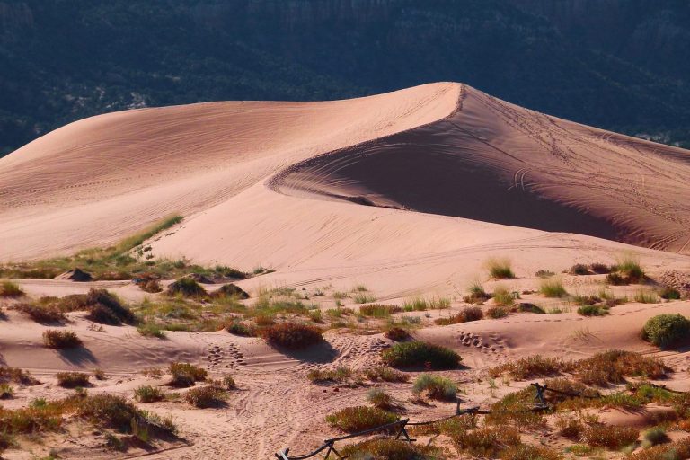 désert, sable, dunes, paysage, cordon dunaire, aride, scénique, la campagne, nature, vallée de la mort, etats-unis, désert, désert, désert, désert, désert