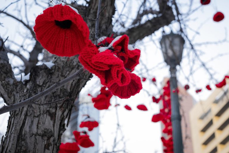 coquelicot, rouge, nature, jour du souvenir, arbre, ville, borne lumineuse