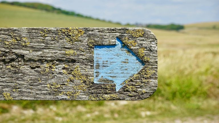 panneau poste, la flèche, signer, publier, route, direction, poteau indicateur, symbole, bleu, en bois, texture, directionnel, panneau de signalisation, vieille, signalisation, droite, bois, façon, voyager, pôle, direct, la campagne, route, panneau de signalisation, signalisation, signalisation, signalisation, signalisation, signalisation