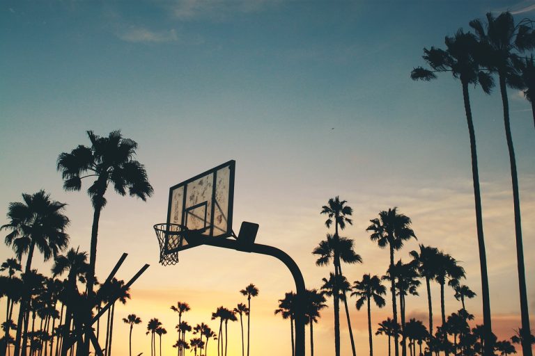 panneau, rétro-éclairé, panneau de basket-ball, bague de basket, arbres de noix de coco, lever du soleil, crépuscule, idyllique, palmiers, scénique, silhouette, ciel, nature, des arbres, tropical