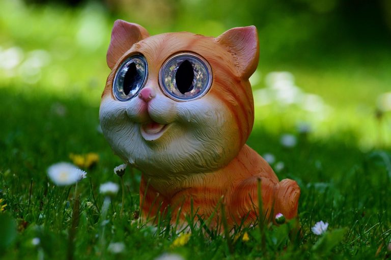 chat, animal, prairie, mignonne, amusement, animal de compagnie, solaire