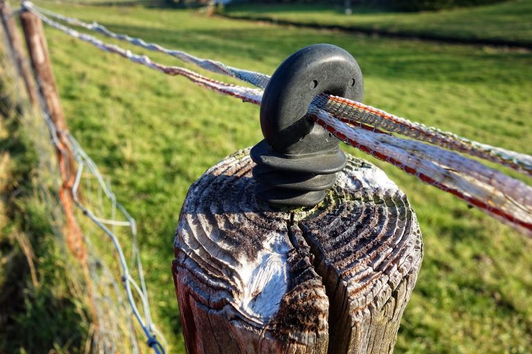 isolant électrique, isolateur en caoutchouc, électrique, le courant électrique, actuel, puissance, les charges électriques, des charges, câblage électrique, câble, clôture, barrière, bovins, sur le terrain, paddock