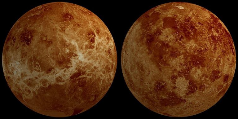 vénus, planète, hémisphère, de face, arrière, espace, système solaire, vénus, vénus, vénus, vénus, vénus