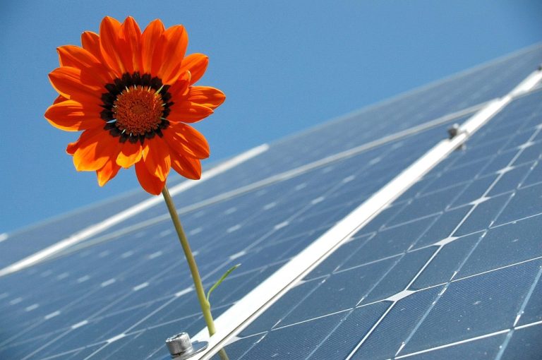 solaire, photovoltaïque, renouvelable, énergie solaire, cellules solaires, la production d'énergie, énergie renouvelable, énergie solaire photovoltaïque, production d'énergie, écologique, électricité, système solaire, éco énergie, photovoltaïque, photovoltaïque, photovoltaïque, photovoltaïque, photovoltaïque, énergie solaire