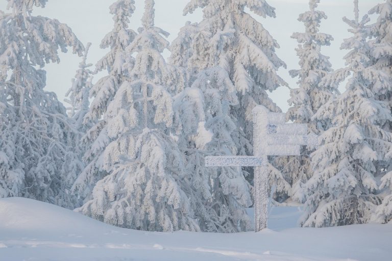 neige, des arbres, panneau de signalisation, chute de neige, il neige, givre, conifères, conifère, forêt de conifères, blanche, neigeux, snowscape, winterscape, hiver, finlande, du froid, nature, paysage, gel, gelé, hivernal, neige, neige, neige, neige, finlande, finlande, finlande, finlande, finlande