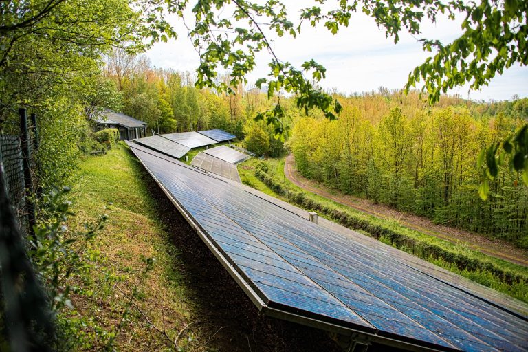 panneaux solaires, forêt, prairie, la technologie, photovoltaïque, système solaire, énergie, transition énergétique, énergie de remplacement, environnement, en plein air, la nature, électricité, énergie solaire, flux de soleil, cellule, nettoyer, écologiquement, durable