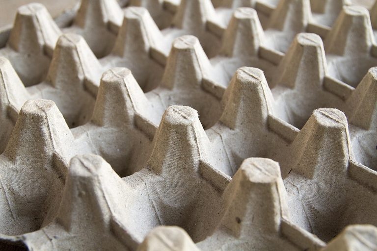 oeuf papier du panneau de, papier plateau d'oeuf, panneau de l'oeuf en papier, oeuf-crate paper, le carton d'oeufs de papier, thaïlande